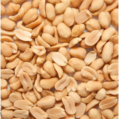 image_bff84b59-9871-4fad-931b-648bd50d3509