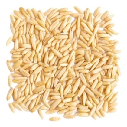 image_aa6c294d-4e36-4320-af52-e31f10b8d320