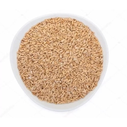 image_17f702c8-df12-4971-98d9-405090358f16