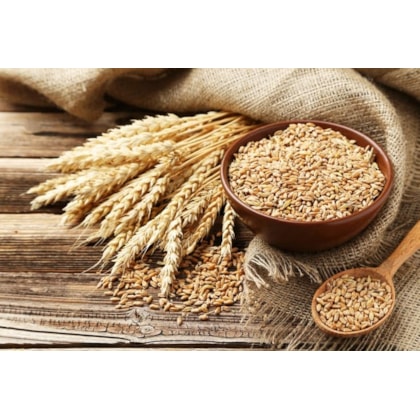 image_a8c4a5bf-8e1b-42db-addc-c75e3146a53b