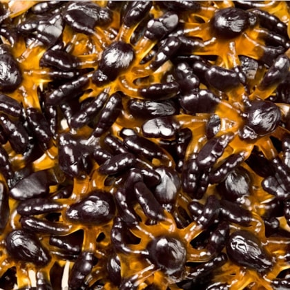 image_f1c58e62-b034-4e60-99f9-c27ef1baadc9