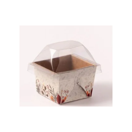 image_47f67b1c-81db-4c64-8e4d-26488894c29b