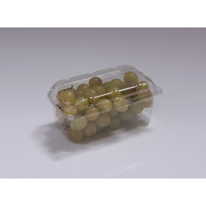 image_46af10d9-9e2b-4543-8bd3-414bf0f54da9