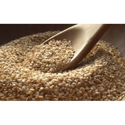 image_268c5834-1978-4bbd-9e4a-856ee9a246bd