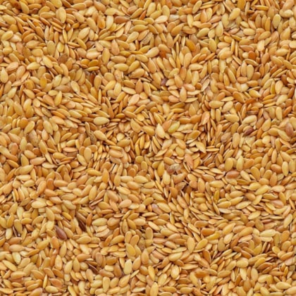 image_71035783-314e-4756-8f20-1625569e8583