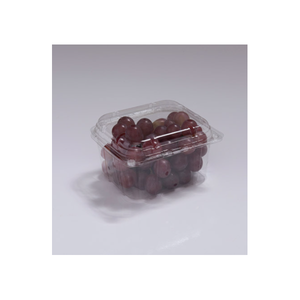 image_c889796b-9c1e-42af-9b2d-a5e351c6726c