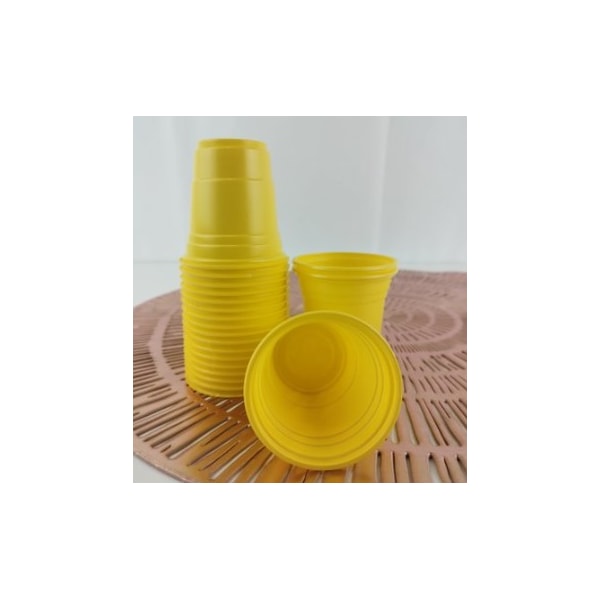 image_575d0815-200a-4350-ba53-2b416e5b0707