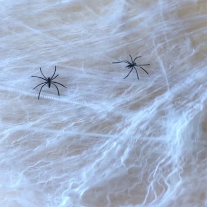 image_0aa04eb0-c7b2-4914-bd45-404445b66cd0